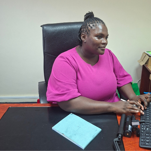 Business Support Virtual Assistant Services